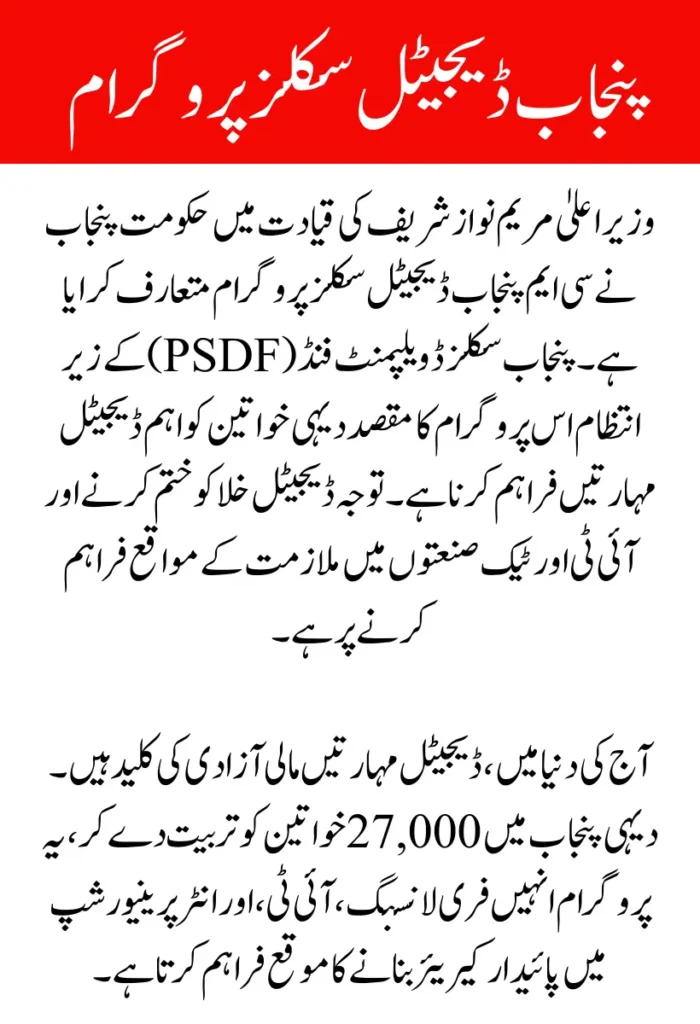 CM Punjab Digital Skills Program