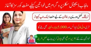 CM Punjab Digital Skills Program For Rural Women