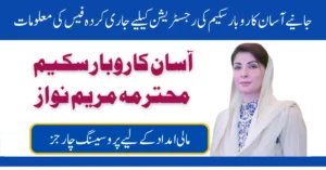 Fees To Qualify For The Asan Karobar Scheme 2026 By CM Punjab