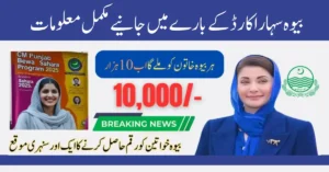 How To Apply for the Bewa Sahara Card Punjab Program