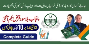 Asaan Karobar Card Errors, Eligibility, and Helpline Number Details in Punjab