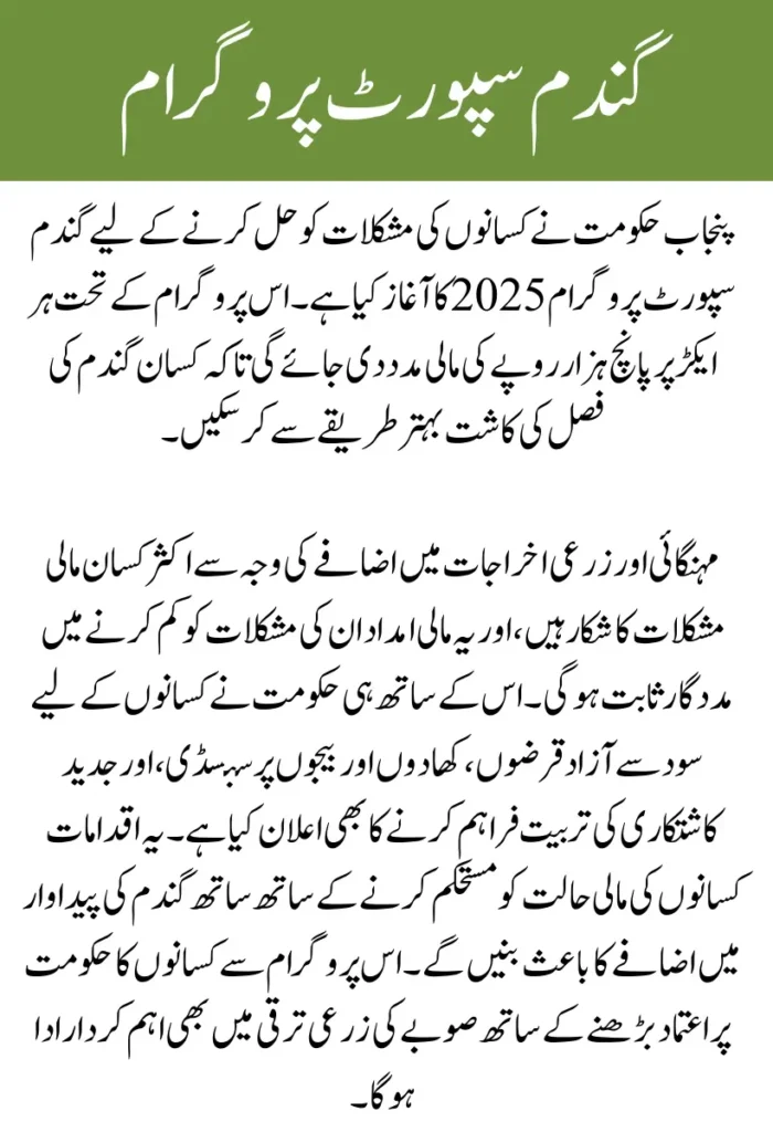 CM Punjab Announces Wheat Support Program