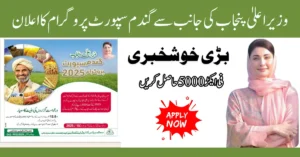 CM Punjab Announces Wheat Support Program 2026