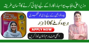 How to Apply for the CM Punjab Bewa Sahara Card 2025