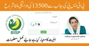 BISP 13500 Payment Status & Eligibility Check