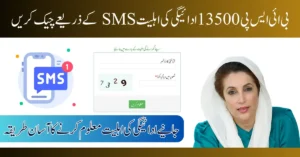 BISP 13500 Payment Status Check via SMS and 8171 Portal