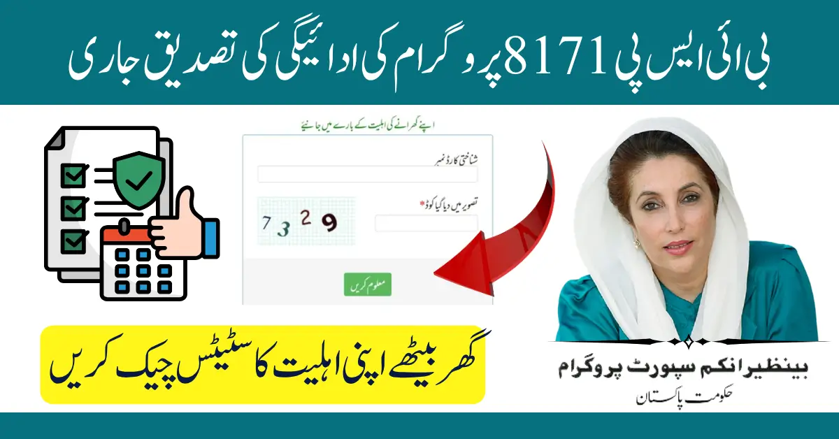 BISP 8171 Payment Verification