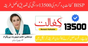 BISP Kafalat 13500 Cash Payment Verification By CNIC Through SMS & 8171 Portal