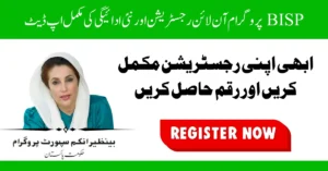 BISP Online Registration and New Payment 2026 Update