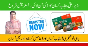 CM Punjab Kisan Card 2025 – Check Your Application Status Online