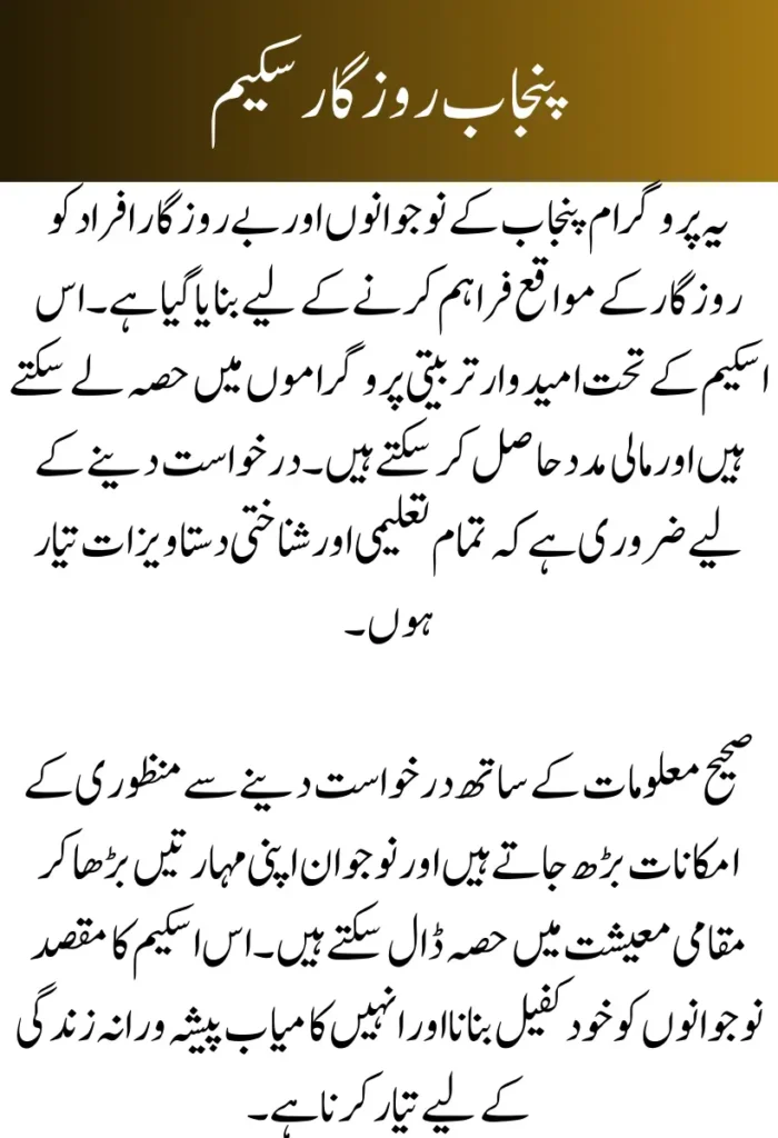 Awami Rozgar Good News! Punjab Rozgar Scheme 2026 – New Rules & Apply Method