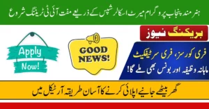 Hunarmand Punjab Program Offers Free IT Training, Laptops & Solar Panels Through Merit Scholarships