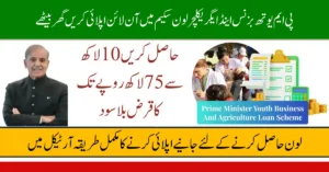 PM Youth Business & Agriculture Loan 2026 | Apply Online in Pakistan