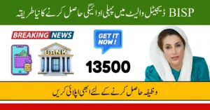 BISP First Payment in a Digital Wallet Complete Guide